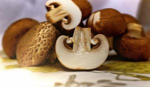 mushrooms