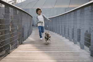 trained dog